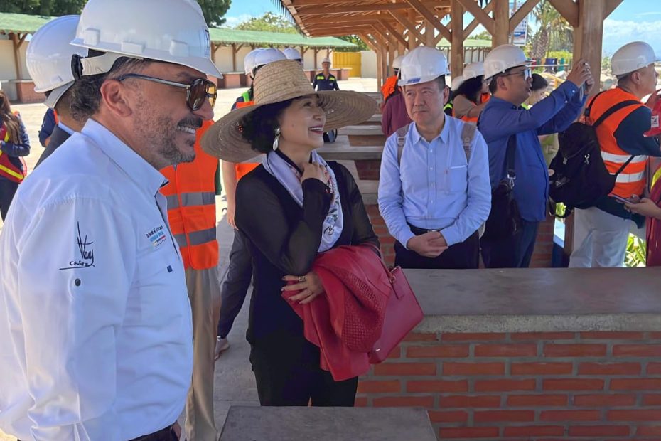 Le delegación de especialistas chinos recorrió zonas estratégicas de la entidad insular